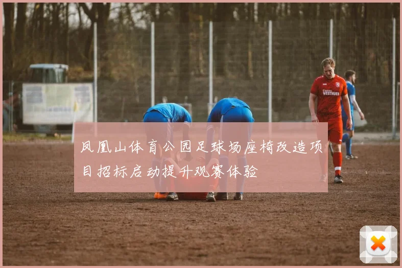 凤凰山体育公园足球场座椅改造项目招标启动提升观赛体验